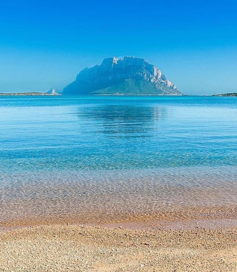Apartament Olbia Center Regina Elena 49 King Zewnętrze zdjęcie